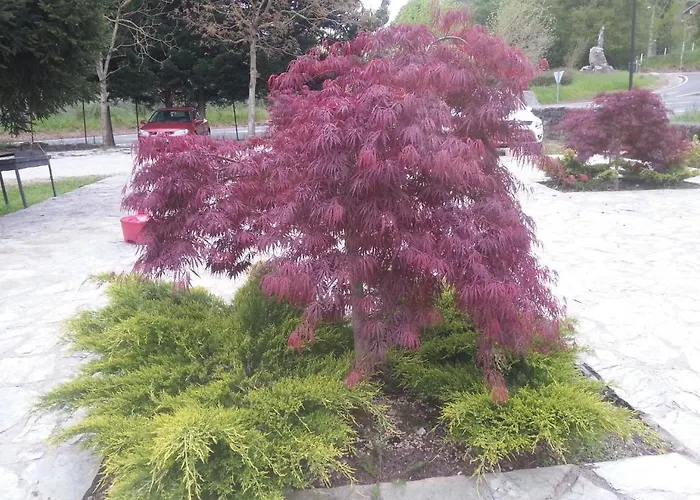 Las Mozas Del Agua Guest house 3*